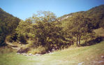 Filename=Tsahkadzor_1.jpg
Filesize=175KiB
Dimensions=712x450
Date added=Dec 03, 2008 Tsahkadzor_1.jpg
