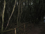 Filename=img_0959.jpg
Filesize=234KiB
Dimensions=850x638
Date added=Dec 05, 2008 img_0959.jpg