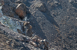Filename=imgp6486.jpg
Filesize=329KiB
Dimensions=900x596
Date added=Oct 15, 2013 imgp6486.jpg