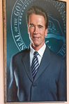 imgp0709.jpg