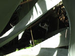 Filename=img_0546.jpg
Filesize=131KiB
Dimensions=850x638
Date added=Dec 05, 2008 img_0546.jpg